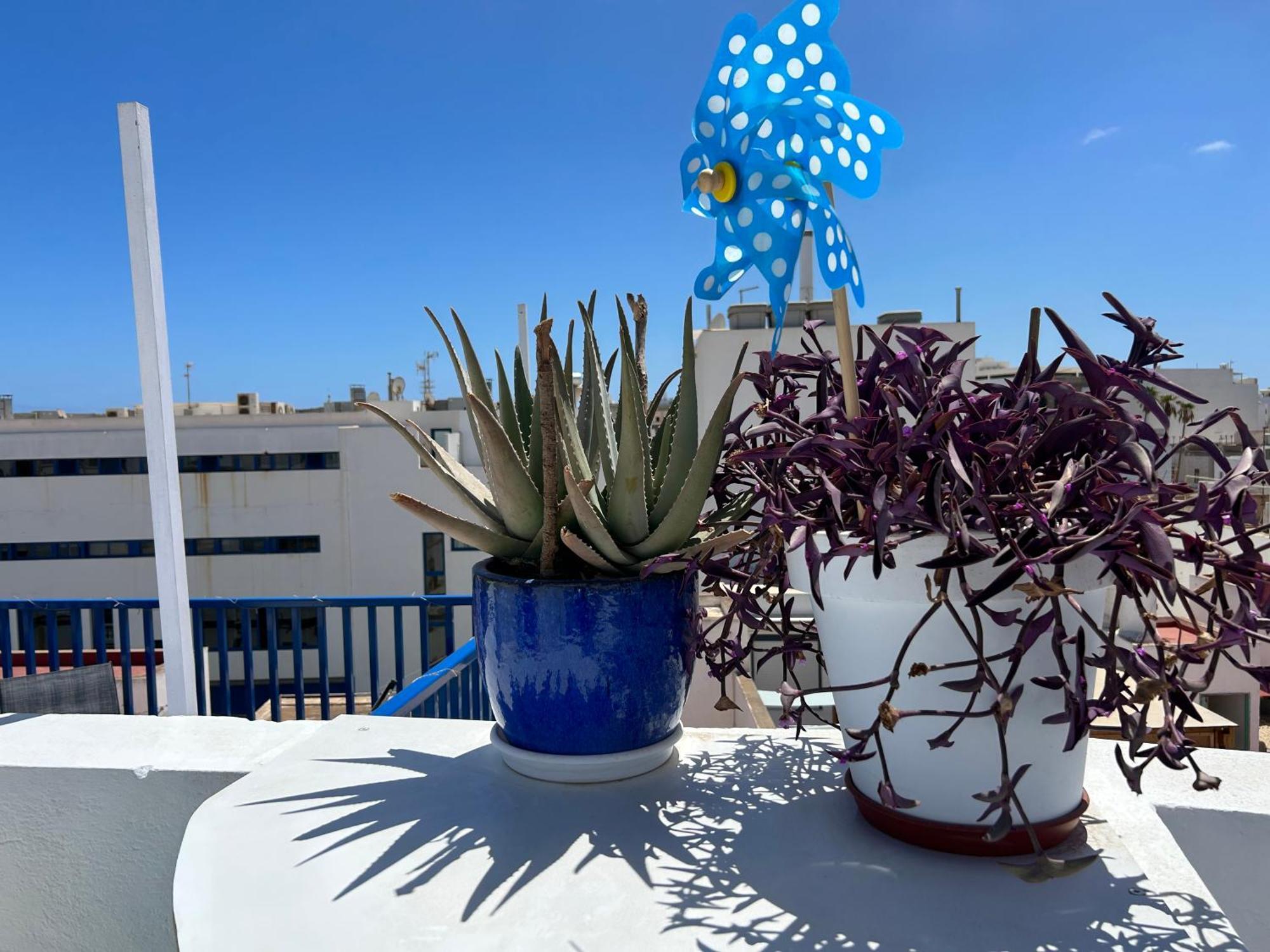 La Buganvilla Rooms Аресифе Екстериор снимка