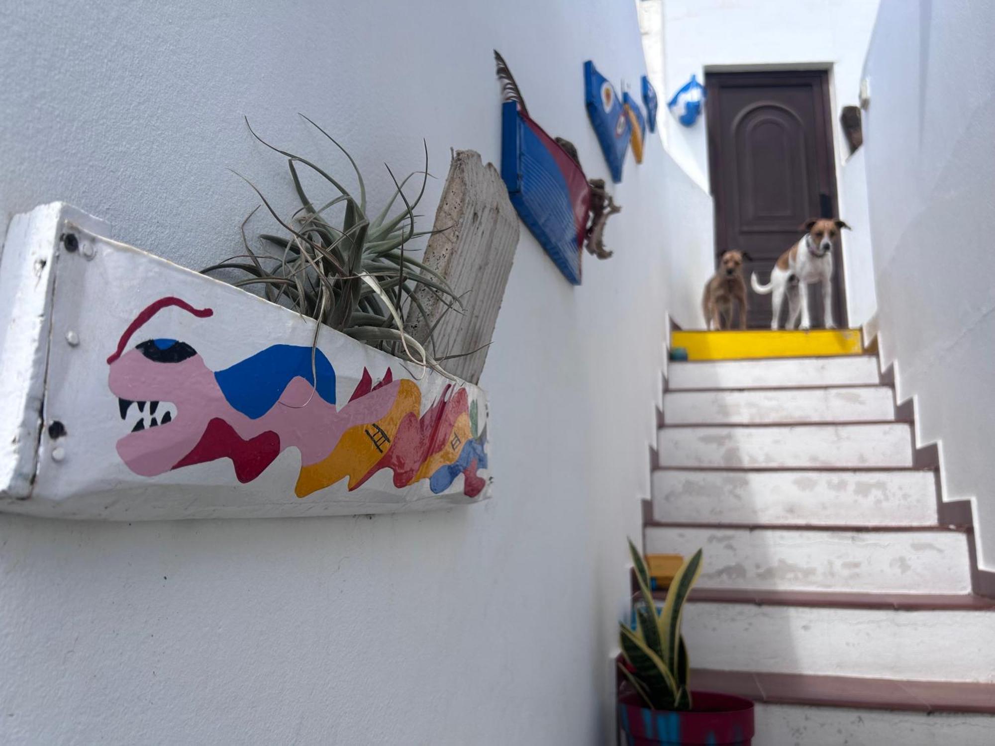 La Buganvilla Rooms Аресифе Екстериор снимка